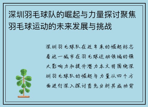 深圳羽毛球队的崛起与力量探讨聚焦羽毛球运动的未来发展与挑战